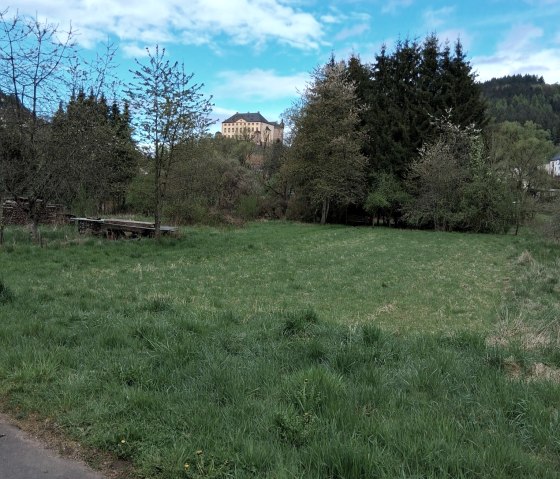 Rundweg Kyllburg-Malberg