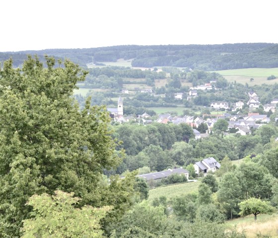 Panoramablick auf das Dorf Oberweis mit einer Kirche im Zentrum, umgeben von grünen Feldern und Wäldern. Im Vordergrund ein großer Baum., © TI Bitburger Land