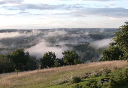 Panoramablick über eine grüne Landschaft mit Nebel. Im Vordergrund eine Bank, im Hintergrund Hügel und Bäume unter einem bewölkten Himmel., © Eifelverein Ortsgruppe Speicher