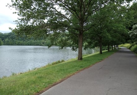 Asphalted path along the Bitburg reservoir, lined with trees and green grass, with a view of the water., © Naturpark Südeifel