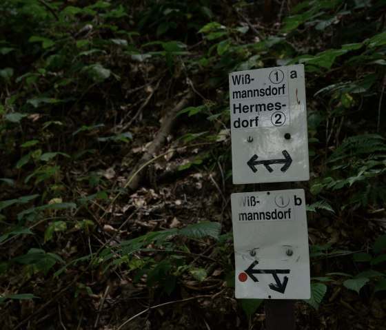 Signpost in the forest points the way to Wißmannsdorf and Hermesdorf. Signs are surrounded by plants., © TI Bitburger Land