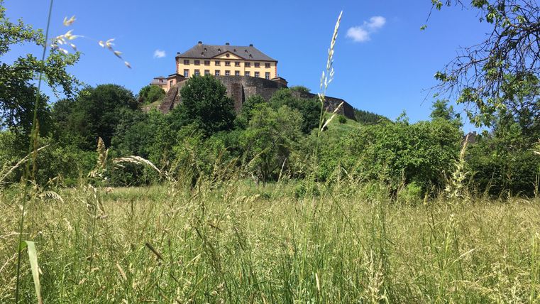 Ein beeindruckendes Schloss auf einem Hügel, umgeben von üppigem Grün. Der klare blaue Himmel schafft eine einladende Atmosphäre.