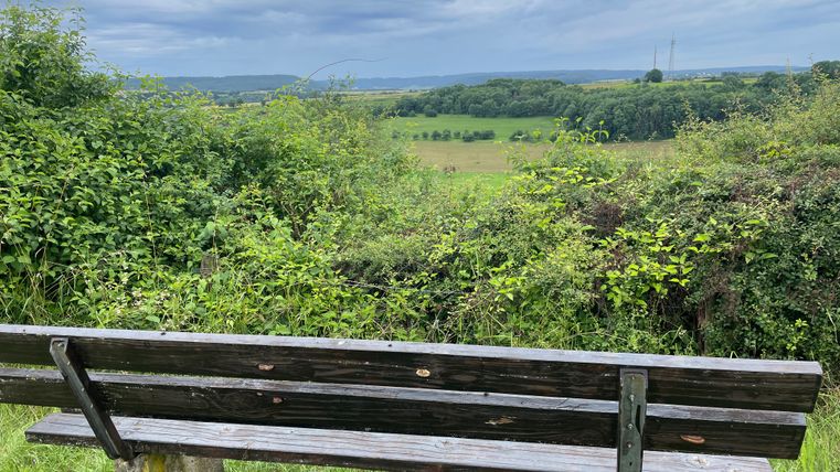 Eine Holzbank steht vor einer grünen Landschaft mit bewölktem Himmel.