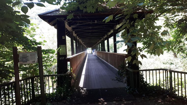 Ein langer Holzsteg führt durch eine bewaldete Gegend. Laub umrahmt den Weg und sorgt für eine natürliche Atmosphäre.