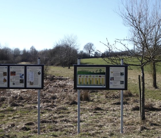 Vier informatieborden staan in een landelijk landschap met kale bomen en groene weiden onder een heldere hemel., © Eifelverein Ortsgruppe Speicher