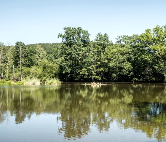 View of the reservoir on the Eifelgold route, © Eifel Tourismus GmbH, D. Ketz