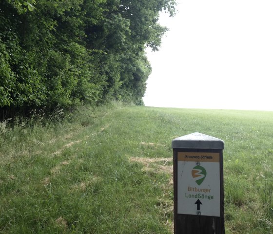 Trail marker at the edge of the forest near Seffern, © TI Bitburger Land