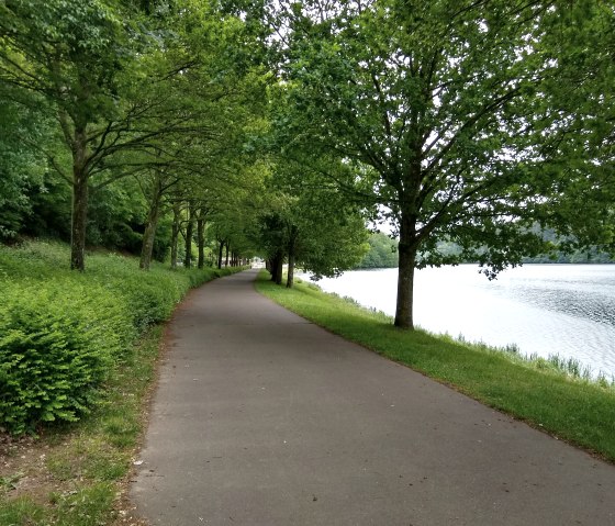 An asphalt path leads along a lake, lined with green trees and bushes. The sky is cloudy and the water is calm., © Naturpark Südeifel