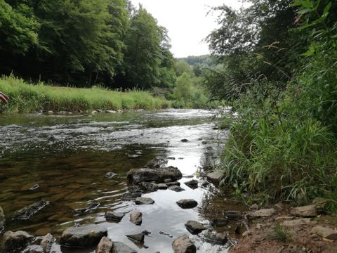 Ein ruhiger Fluss fließt durch eine grüne Landschaft. Am Ufer sind Steine und hohes Gras zu sehen.