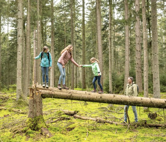 Balancing over trees on the Bollendorf fairytale trail, &copy; Eifel Tourismus GmbH, Dominik Ketz