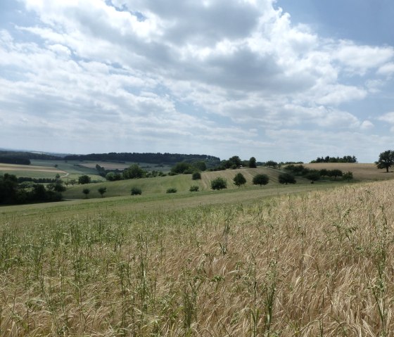 Wide panoramic views, © NaturAktivErleben