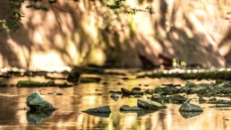 Am Roten Puhl, &copy; Eifel Tourismus GmbH
