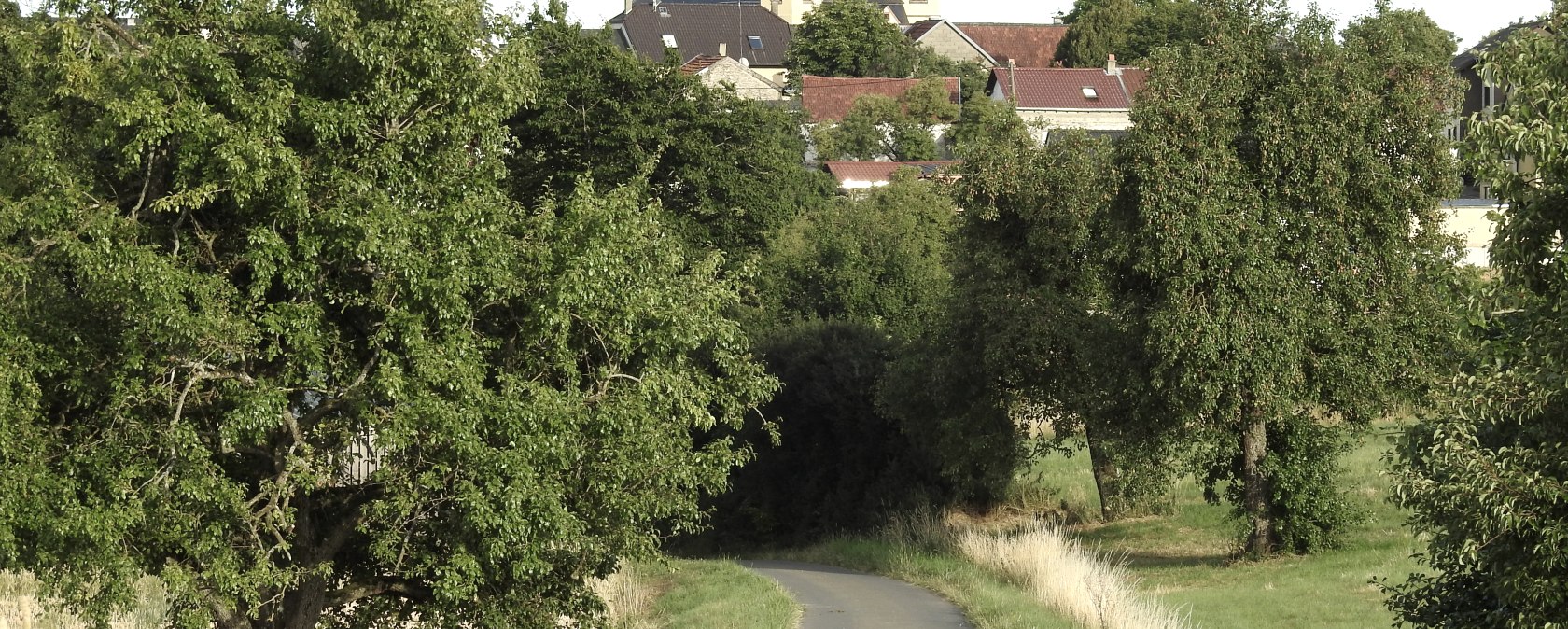 Eine schmale Straße führt durch eine grüne Landschaft mit Bäumen. Im Hintergrund sind die Türme einer Kirche in Idenheim zu sehen., © Thomas Neises