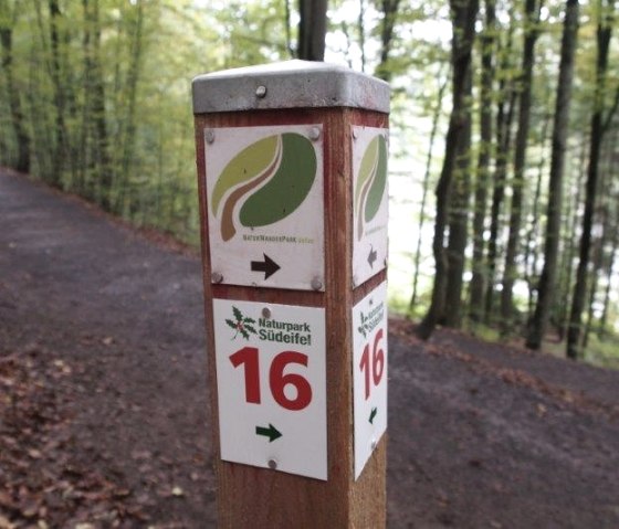Een wegwijzer in het natuurpark Zuid-Eifel geeft route 16 aan. Het pad loopt door een dicht, groen bos.