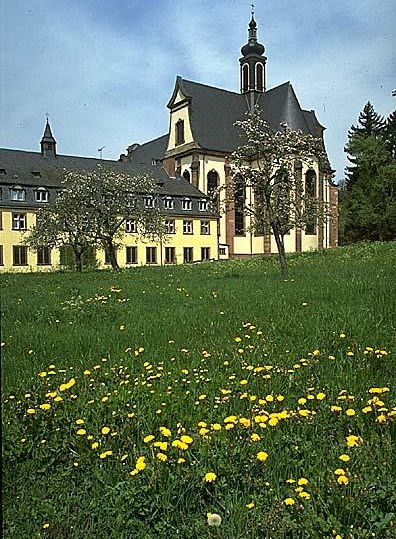 Ein historisches Gebäude mit einem markanten Turm und schönen Fenstern. Im Vordergrund blühen gelbe Löwenzahnblumen auf einer grünen Wiese.