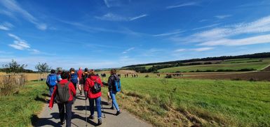 EIne Gruppe wandert auf einem Feldweg.