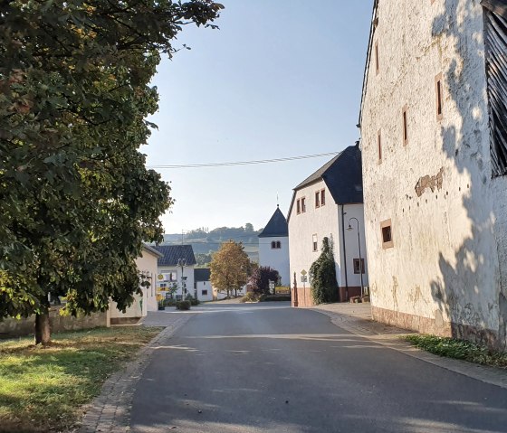 Straße in Brecht, gesäumt von Bäumen und alten Gebäuden, führt in die Ortsmitte. Die Sonne wirft lange Schatten auf die Straße., © TI Bitburger Land, Steffi Wagner