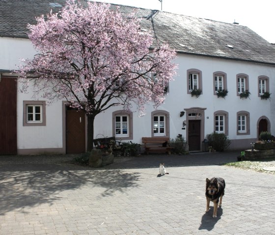 Bauernhaus, &copy; Norbert Heck Halsdorf