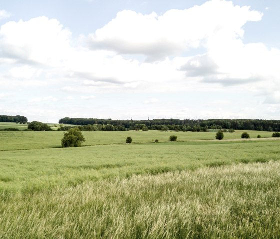 Weite grüne Wiesenlandschaft in Idenheim mit vereinzelten Bäumen und einem bewölkten Himmel., © Ingrid Penning
