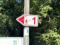 A red signpost with a hiker symbol and the number 1, attached to a post, surrounded by green trees., © André Szybalsky