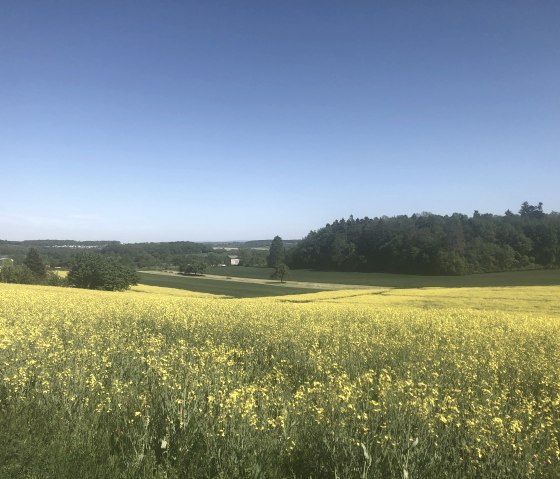 Bitburger veld- en weidetocht, © Tourist-Information Bitburger Land