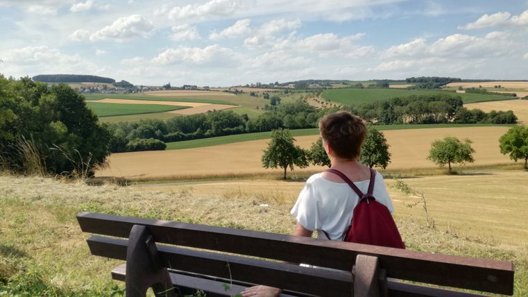 Person sitzt auf einer Bank und blickt auf eine ländliche Landschaft mit Feldern und Bäumen.