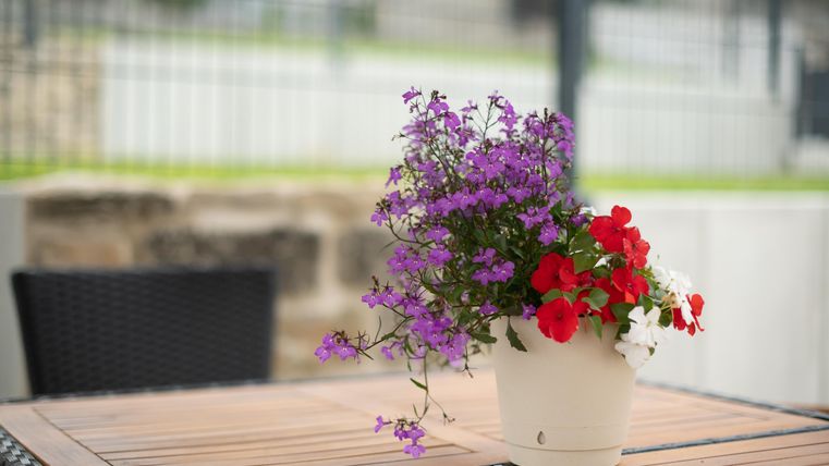 Een bloempot met rode en paarse bloemen staat op een houten tafel. Op de achtergrond is een onscherpe, groene landschap te zien.