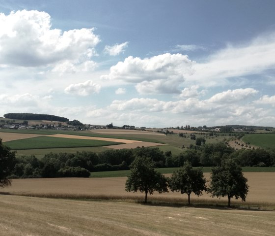 Wide landscape with fields, trees and a blue sky with white clouds in the Kannenbach valley., © Tourist-Information Bitburger Land