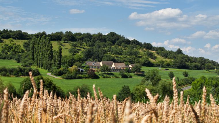 Paysage avec champ de céréales au premier plan et abris de la Villa Otrang à l'arrière-plan.