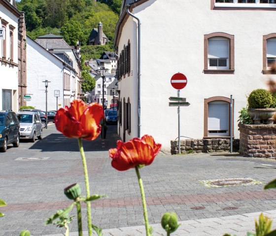 Red flowers in the foreground, behind them a street in Kyllburg with buildings and a hill in the background., &copy; TI Bitburger Land