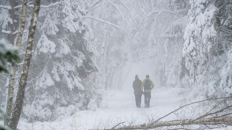 Deux personnes marchent sur un chemin enneigé à travers une forêt brumeuse. Les arbres sont recouverts de neige et la visibilité est restreinte.