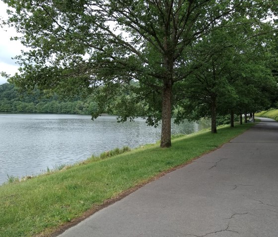 Asphalted path along the Bitburg reservoir, lined with trees and green grass, with a view of the water., © Naturpark Südeifel