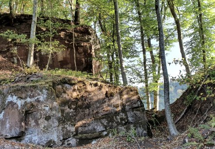 Ein Wald mit großen Felsen und Bäumen, die von Sonnenlicht beleuchtet werden. Der Boden ist mit Laub bedeckt., © Tourist-Info Bitburger Land