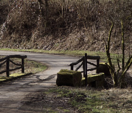Ein schmaler Weg führt über eine kleine Holzbrücke, umgeben von kahlen Bäumen und Sträuchern. Der Boden ist mit Moos bewachsen., © M. Bach