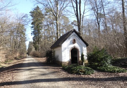 Eine kleine Kapelle steht am Waldrand neben einem Schotterweg. Die Umgebung ist von Bäumen gesäumt, die Blätter auf dem Boden liegen., © Eifelverein Ortsgruppe Speicher