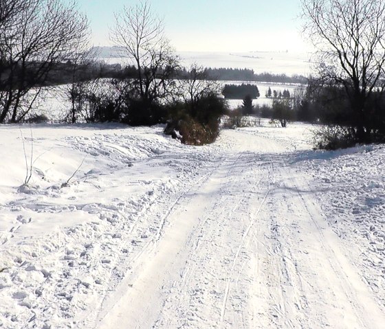 Mohrweiler hoogtewandeling