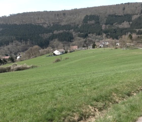 Green meadows stretch out in front of a village surrounded by wooded hills in Zendscheid., © R. Schaal