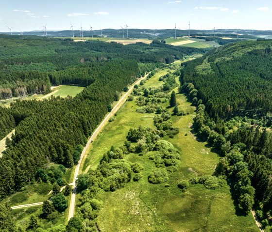 The Eifel-Ardennes cycle path leads through the green landscape of the Eifel, &copy; Eifel Tourismus GmbH, Dominik Ketz