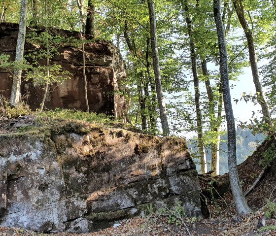 Ein Wald mit großen Felsen und Bäumen, die von Sonnenlicht durchflutet werden. Der Boden ist mit Laub bedeckt., © TI Bitburger Land, Steffi Wagner