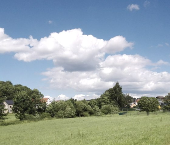 Panoramablick über eine grüne Wiese mit Bäumen, einem Dorf und einem Kirchturm im Hintergrund unter blauem Himmel mit Wolken., © Doris Pauels