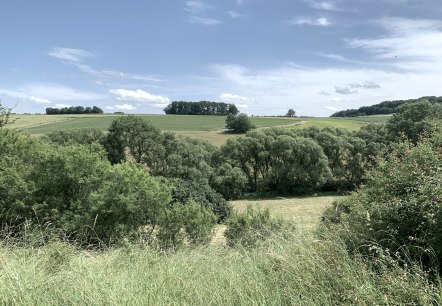 Grüne Felder und Bäume erstrecken sich unter einem blauen Himmel mit wenigen Wolken. Eine ruhige, ländliche Landschaft., © Benjamin Milbach