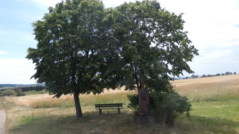 Zwei Bäume mit Bank und Kreuz auf einem Feldweg.