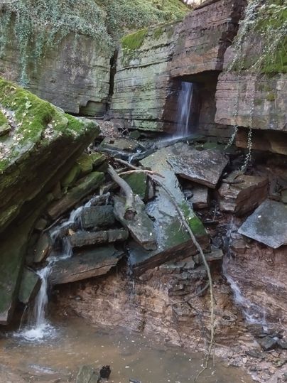 Ein kleiner Wasserfall fließt über moosbedeckte Felsen in einem bewaldeten Gebiet.