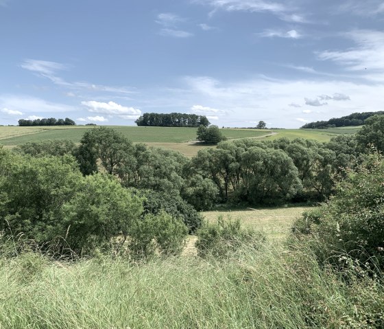 Green fields and trees stretch out under a blue sky with few clouds. A peaceful, rural landscape., © Benjamin Milbach