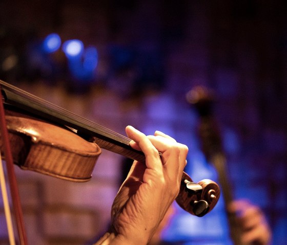 Violine, © Pxabay