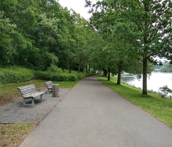 There are two benches on an asphalt path surrounded by trees and a lake. The path is part of the barrier-free circular trail at the Bitburg reservoir., © Naturpark Südeifel