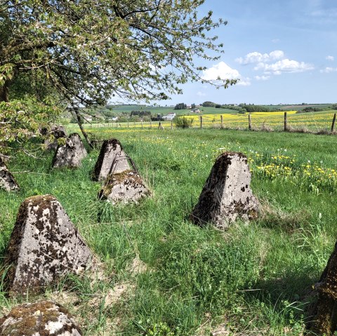 Wanderweg Islek, © TI Islek
