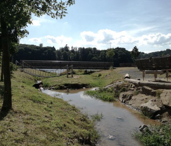 Un petit ruisseau coule à travers un paysage verdoyant. Un pont en bois et des bancs sont visibles à l'arrière-plan. Une personne est agenouillée sur la rive., © Tourist-Information Bitburger Land