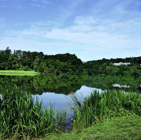 Un lac tranquille avec de la végétation verte sur les rives, des arbres et des bâtiments en arrière-plan sous un ciel bleu., © TI Bitburger Land