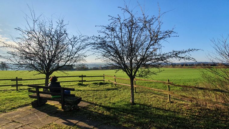 Personne assise sur un banc devant deux arbres avec vue sur une prairie verte et un ciel bleu.